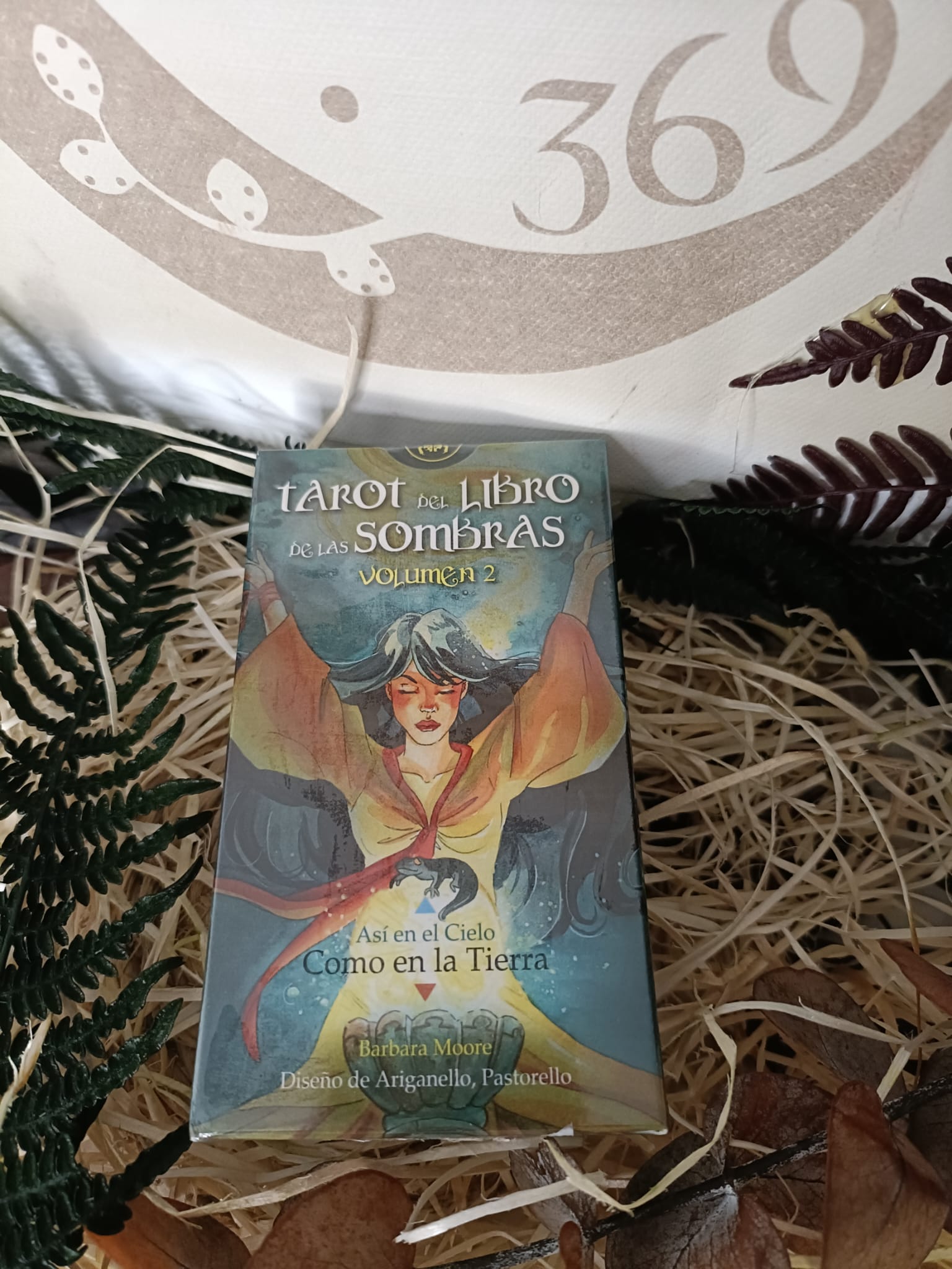 Tarot del Libro de las Sombras Vol.2 - Imagen 2