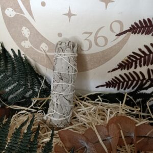 Atadillo de Salvia Blanca de California