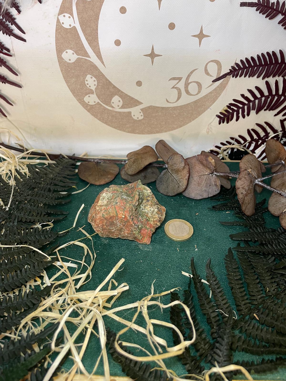 Unakita en Bruto - Imagen 4