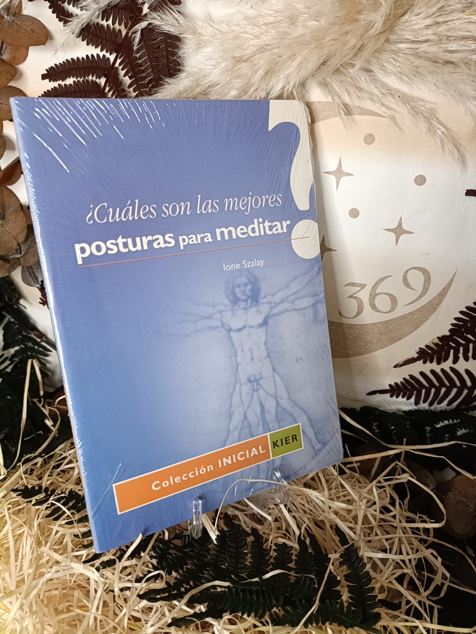 ¿Cuáles son las mejores posturas para Meditar?