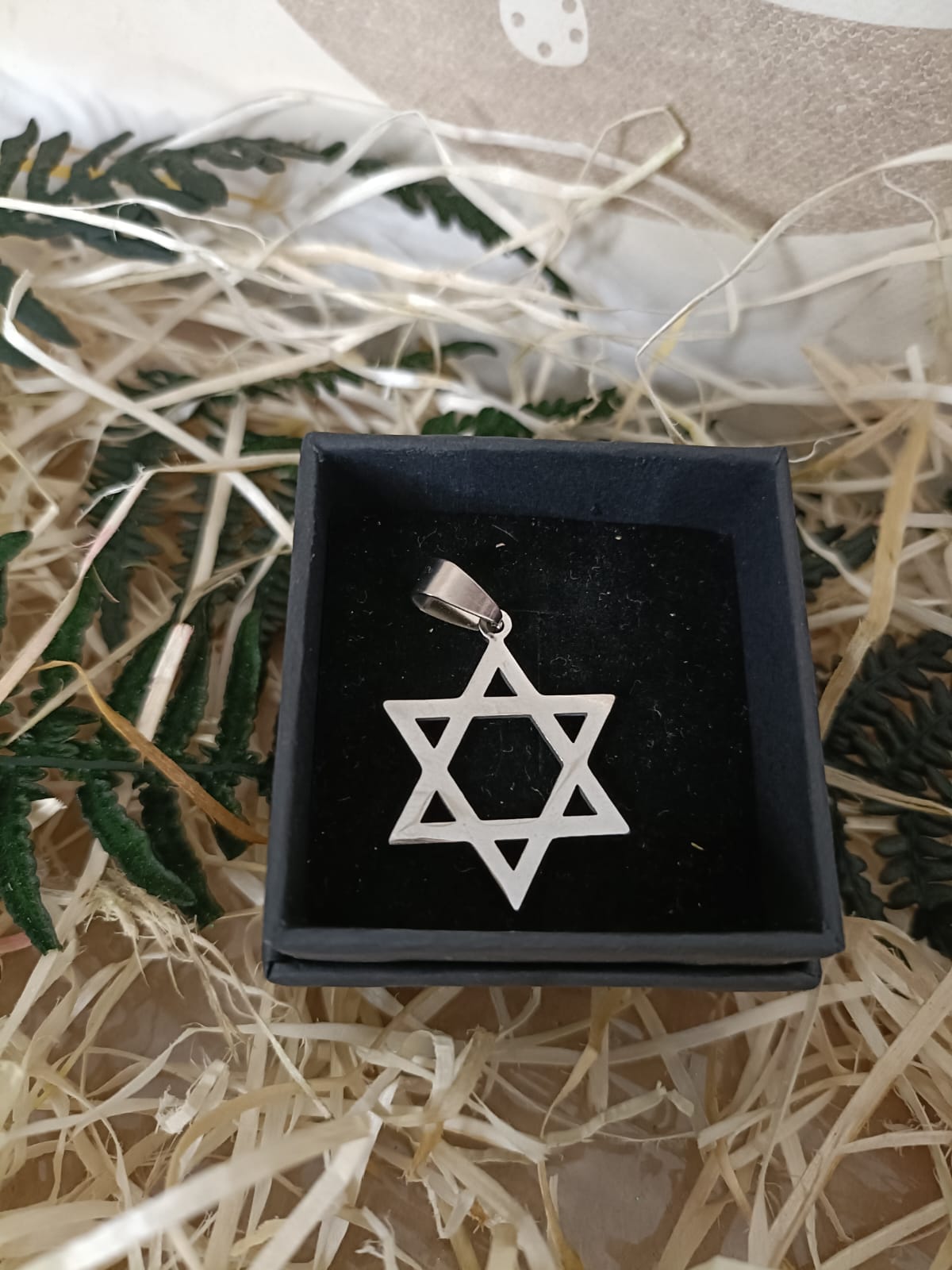 Colgante Acero Estrella de David