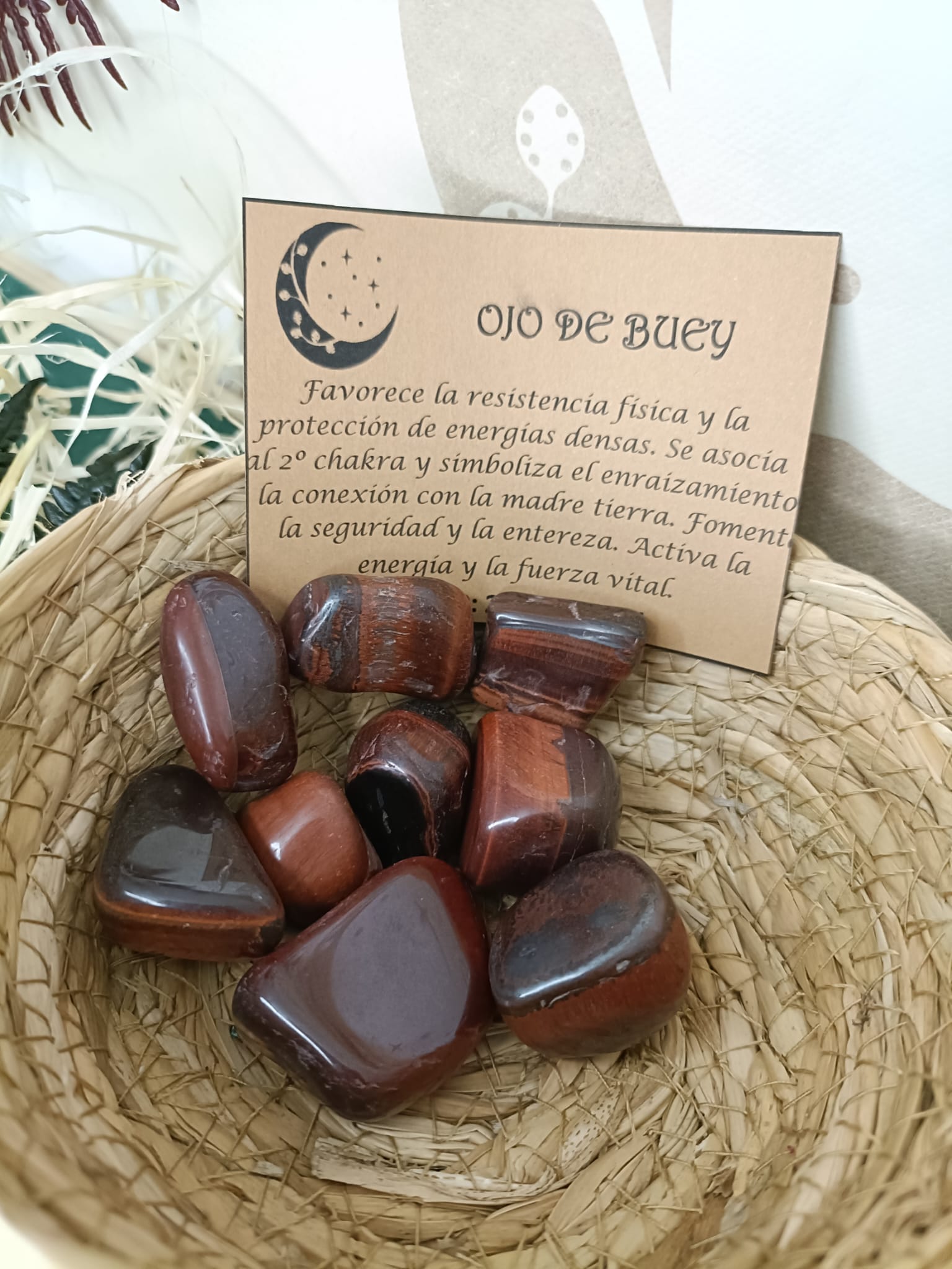 Ojo de Buey Canto Rodado - Imagen 3