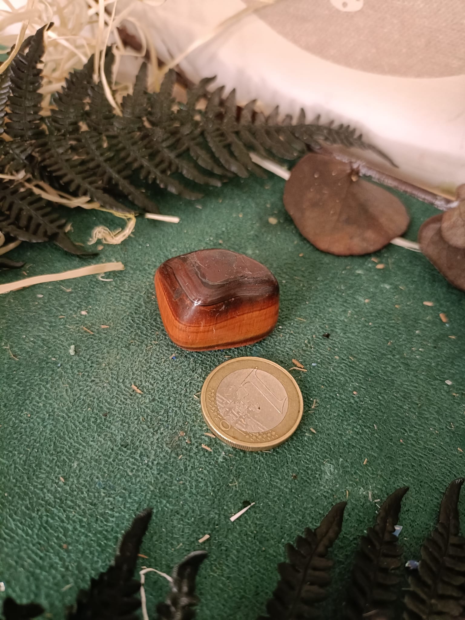 Ojo de Buey Canto Rodado - Imagen 4