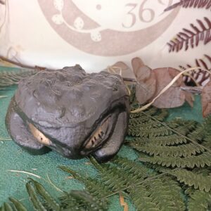 Figura Rana de la Suerte Negra