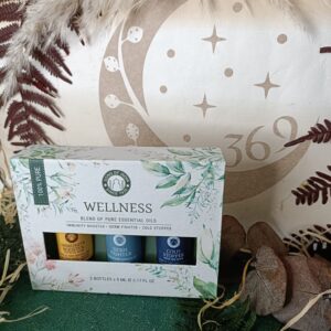 Set de Aceites Esenciales para Aromaterapia Wellness