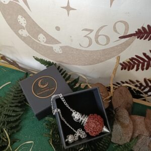 Péndulo de Semilla de Rudraksha Plata