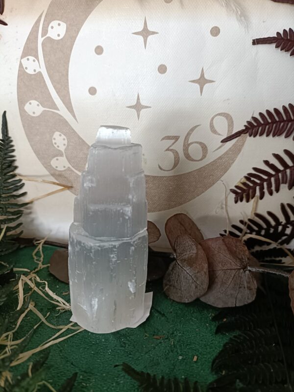 Catedral de Selenita (10-11 cm)