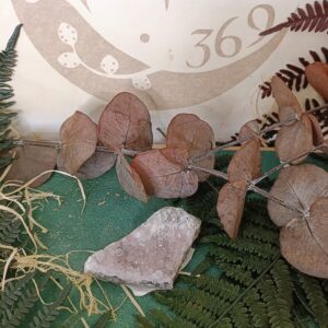 Drusa de Amatista – Piedra Mineral Natural (3 a 8 cm)