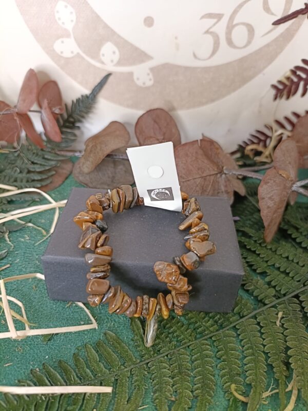 Pulsera de chip Ojo de Tigre - Imagen 2