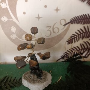 Árbol de Ojo de Tigre con Base de Piedra
