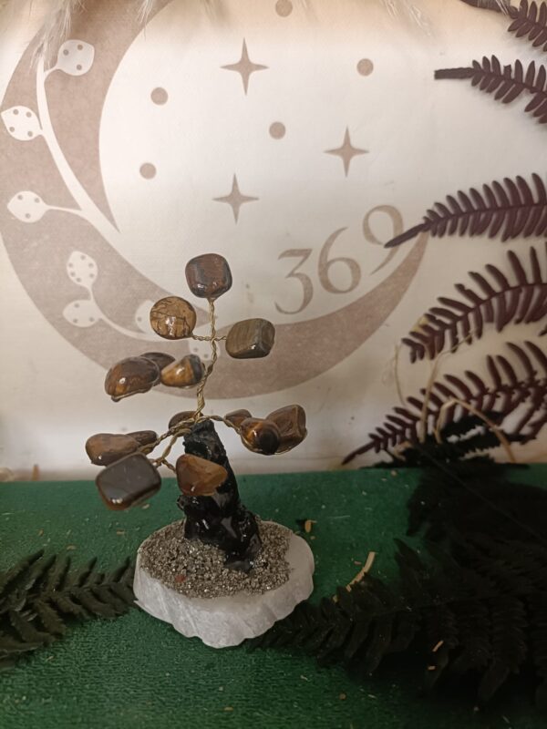 Árbol de Ojo de Tigre con Base de Piedra