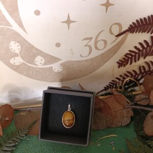 Colgante de Plata con Ojo de Tigre