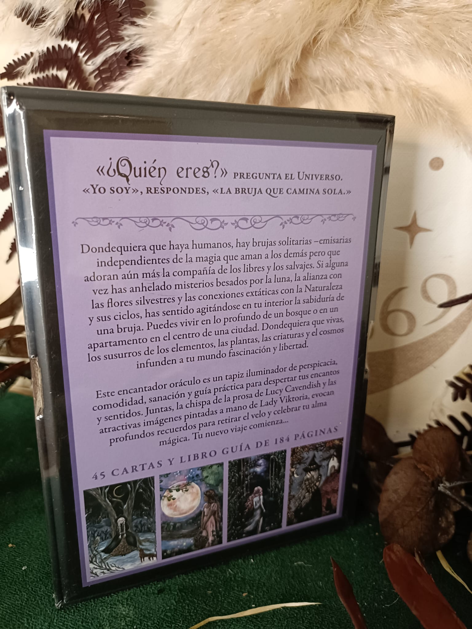 El Oráculo de la Bruja Solitaria - Imagen 3