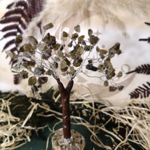 Árbol de 100 Piedras – Labradorita