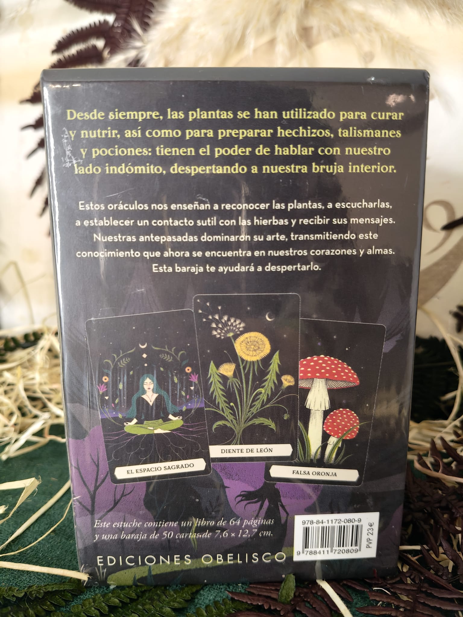 El Oráculo Secreto de la Bruja Verde – La sabiduría ancestral de las plantas - Imagen 3