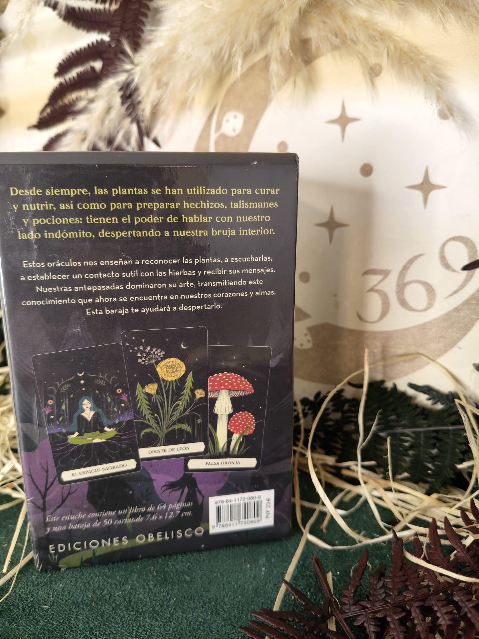 El Oráculo Secreto de la Bruja Verde – La sabiduría ancestral de las plantas - Imagen 2