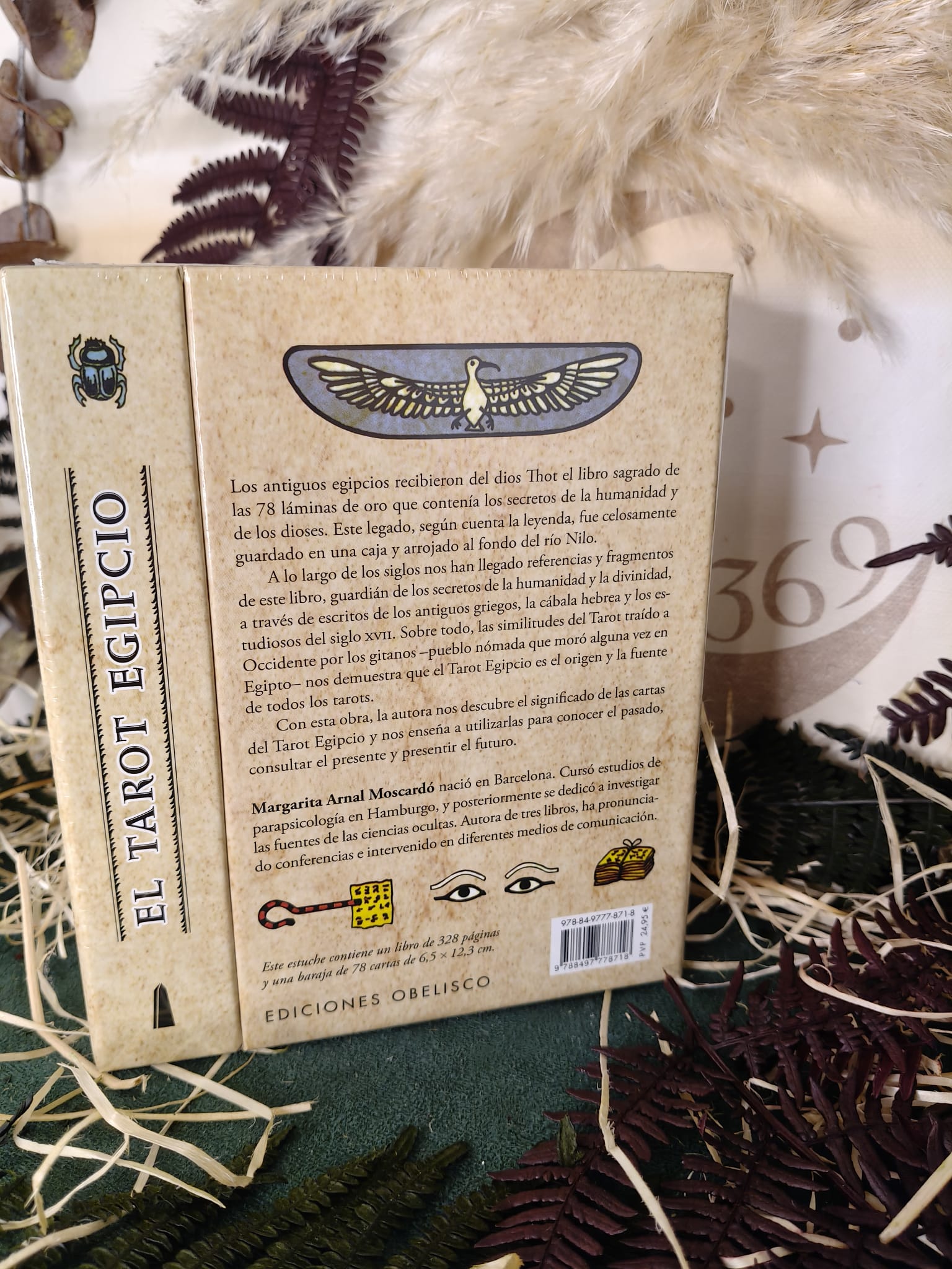 Tarot Egipcio – El origen sagrado del tarot - Imagen 3