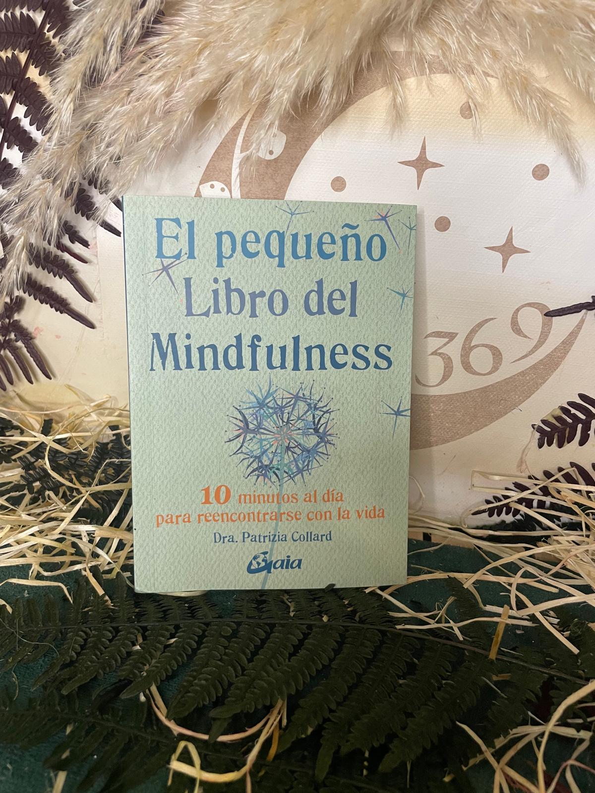 🌿 El Pequeño Libro del Mindfulness — Patrizia Collard