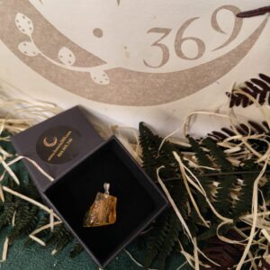 🔮 Colgante de Ámbar Perforado