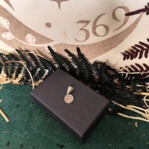 ✝ Medalla San Benito Acero 0,7 cm